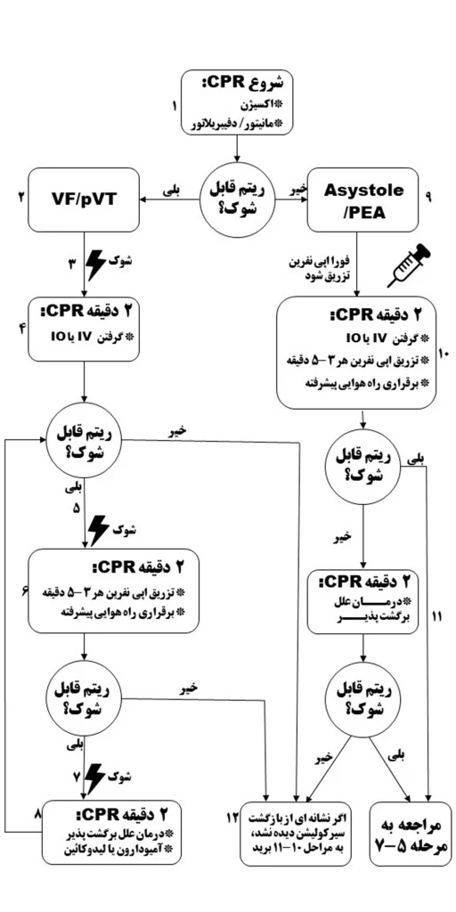 Slide1-3